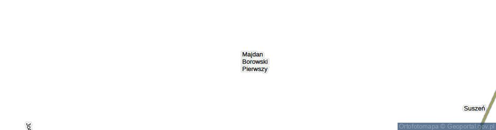 Zdjęcie satelitarne Majdan Borowski Pierwszy ul.